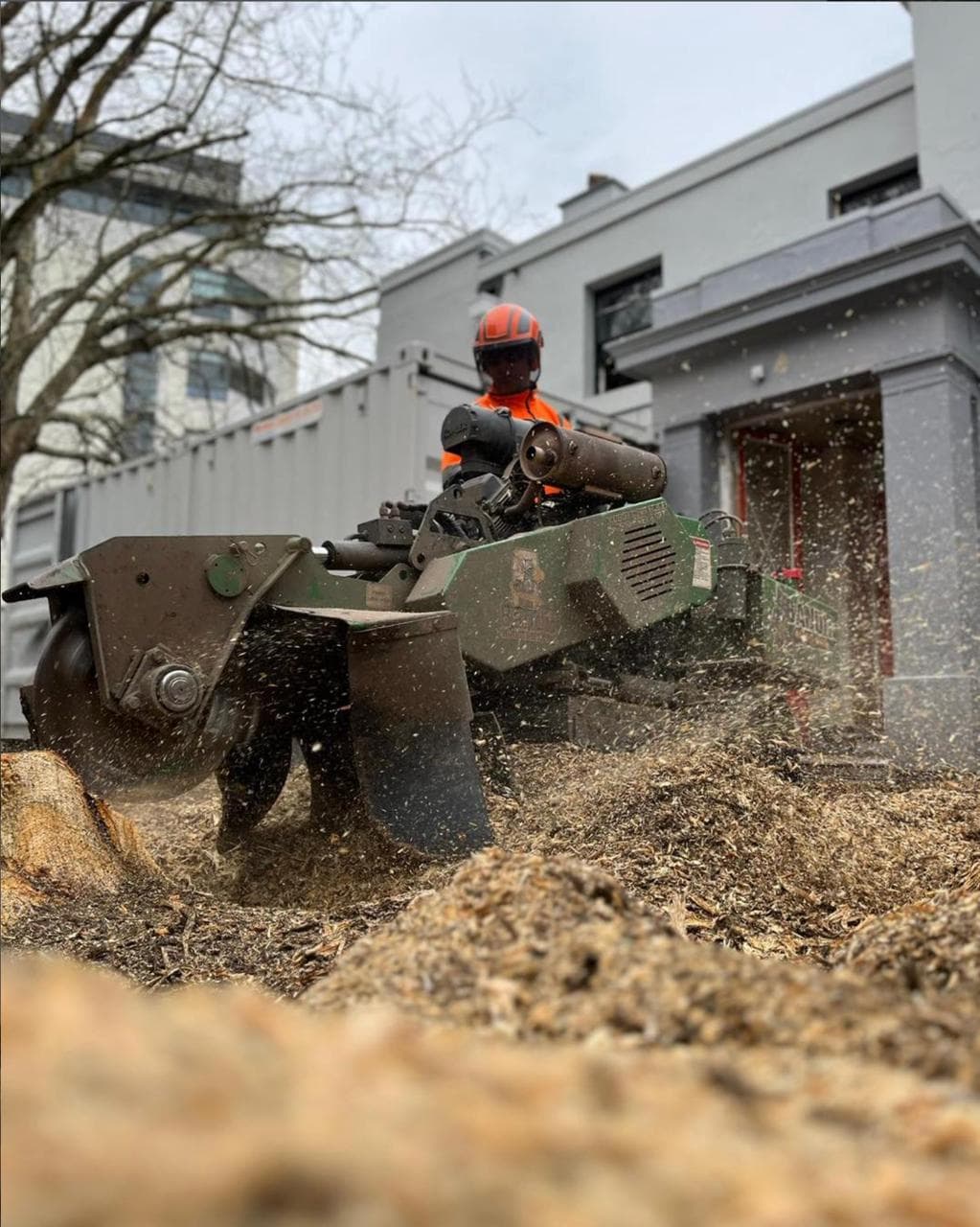 Stump Grinding Plymouth