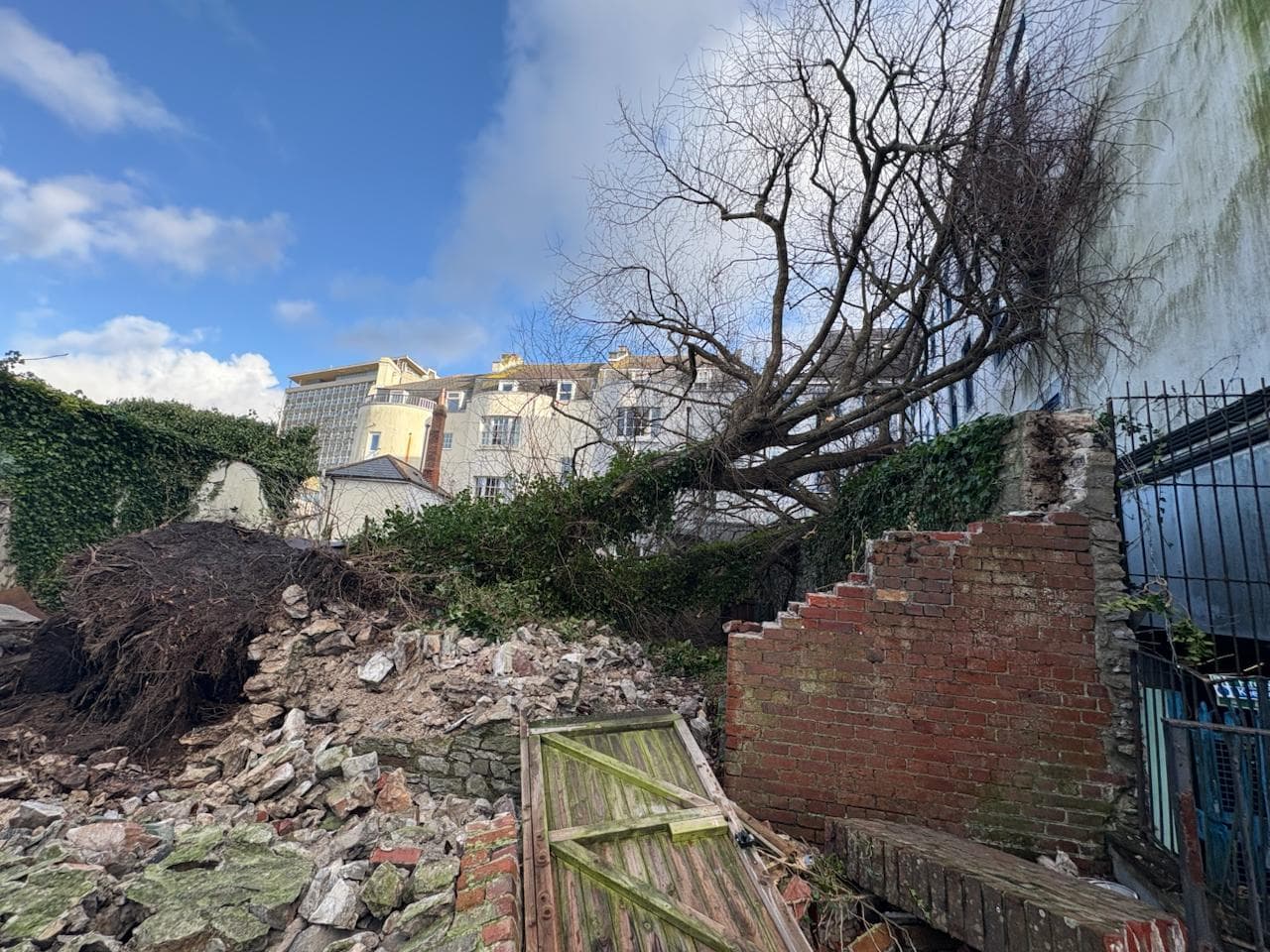 Storm Damage Tree Removal Plymouth